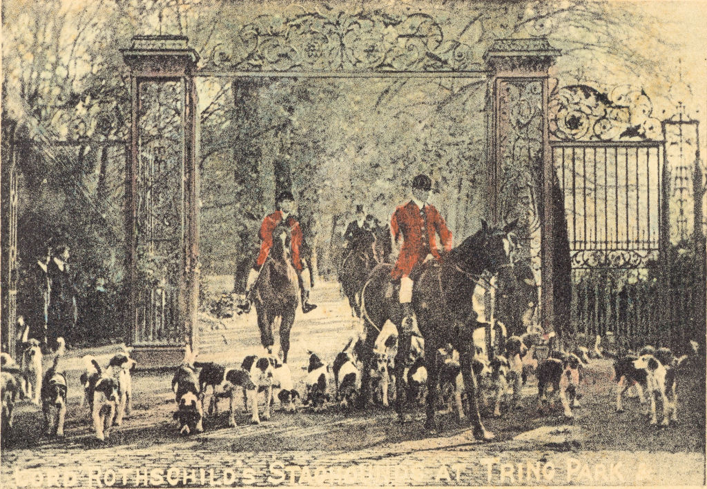 Hertfordshire Genealogy HUnting Postcards Newman, Berkhamsted